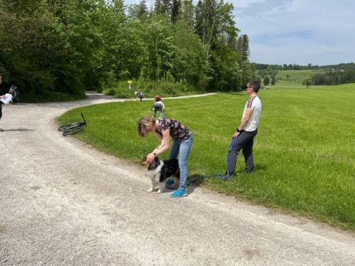 Stressfreie Hundebegegnungen